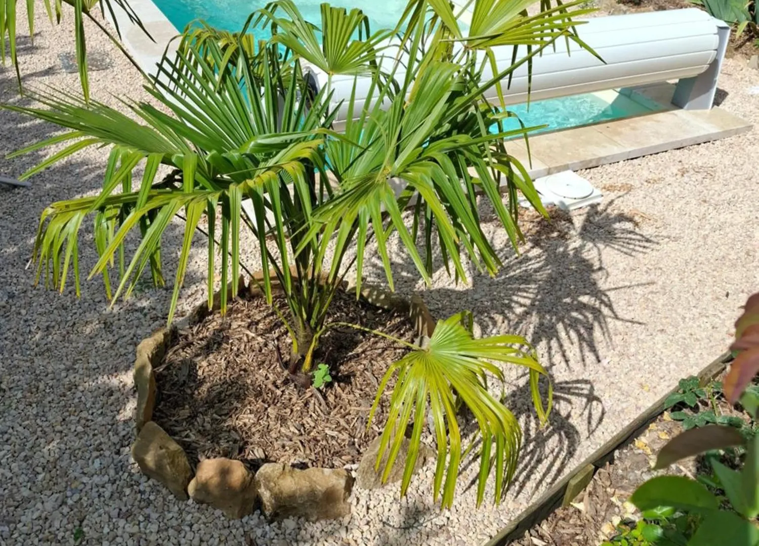 Bétaille Le Macloヴィラ